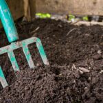 Composting: the upsides of your downsides
